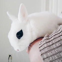 Eyeliner Bunny avatar